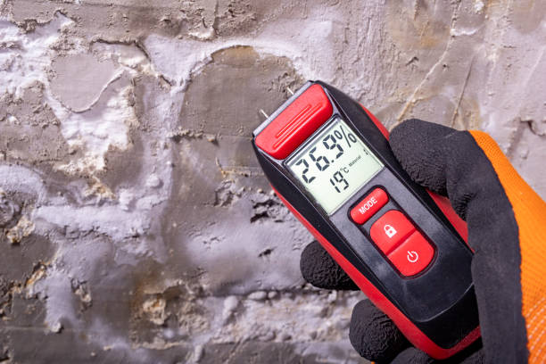 Best Home Mold Removal  in Summitville, IN