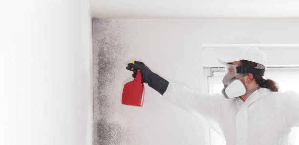 Best Mold Testing  in Summitville, IN