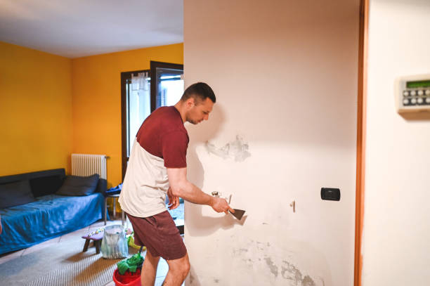 Best Mold Damage Repair  in Summitville, IN